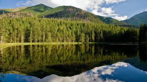 Hotel Redyk - billede 25