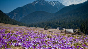 Hotel Redyk - billede 26